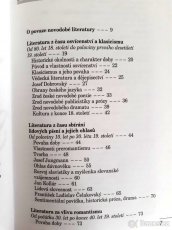 Česká literatura ve zkratce 1. a 2. díl - 3