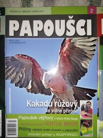 Papoušci - 3