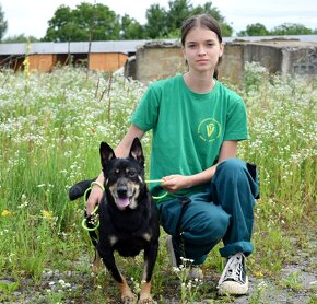 JELLA K ADOPCI - přátelská, vděčná, miluje lidi, k dětem - 3