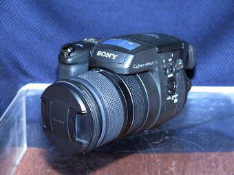 SONY DSC R1 - 3