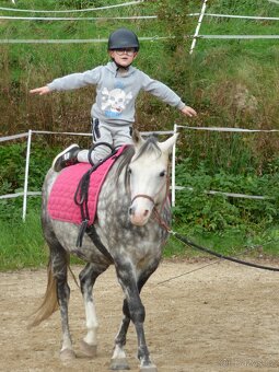 Pony valášek kvh 145 na procházky.. - 3