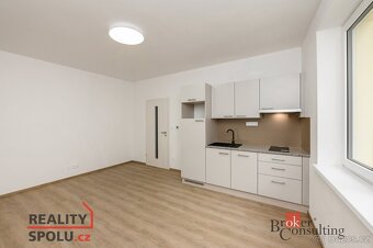 Pronájem, byty/1+kk, 30 m2, Puškinova 2141/14, Severní Předm - 3