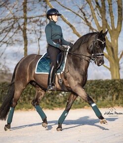 Equestrian Stockholm Amazonite DL - 3