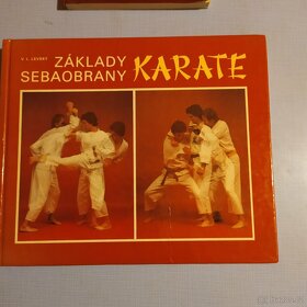 základy judo, karate, akrobacie, kondiční posilování, výživa - 3