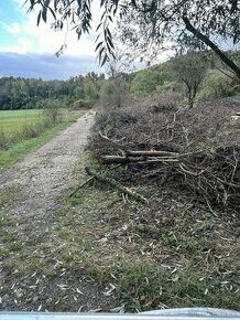 Nabízím větve a náletové dřeviny za odvoz – Pouzdřany - 3