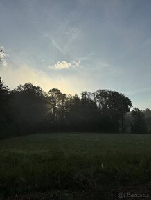 Prodám lesní pozemky v k.ú. Bohuslavice nad Metují - 3