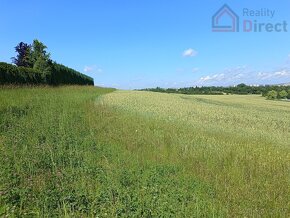 Prodej pozemku 10000 m2, Jemníky - 3