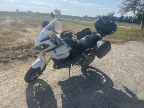 Triumph Tiger 1050 - 3