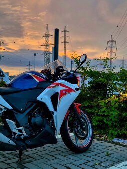 Honda CBR 250R (2011) - 3