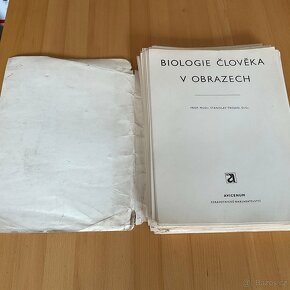 Biologie člověka v obrazech- 1976 - 3