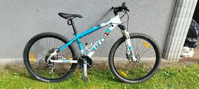 Scott contessa40 - 3