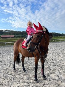 Líbivá pony klisna - 3