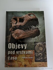 Já, zlatý retrívr, Objevy pod vrstvami času - 3