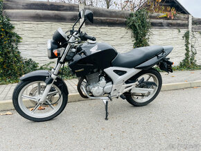 Honda CBF 250 - 3