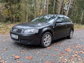 Audi A3 (8P) - 3