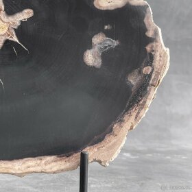 Zkamenělé dřevo na stojanu, 3.7kg - 3