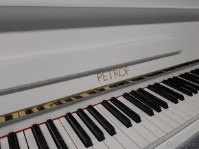 PETROF - 3