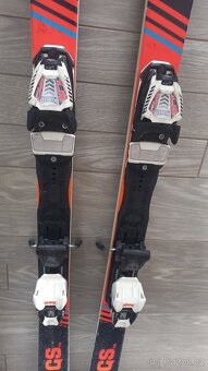 Blizzard GS 163cm - 3