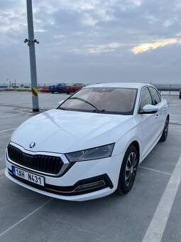 Skoda Octavia 4 r.v 2023 2.0TDi - 3