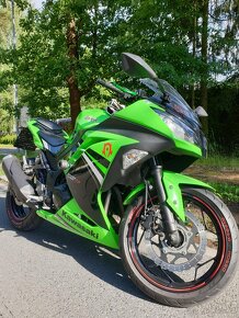 Kawasaki Ninja 300 - 3