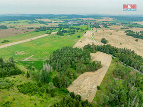 Prodej lesa v Budišově - 3