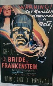NECA Bride of Frankenstein - 3