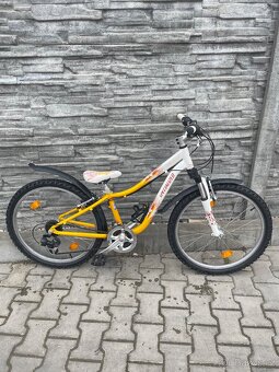 Dětské kolo Specialized Hotrock 24 - 3