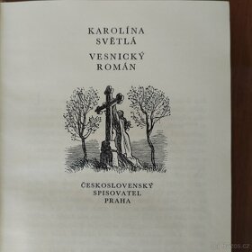 Karolína Světlá, Vesnický román - 3