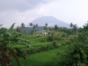 Prodej stav. parcely 1.580 m2, Bali, Karangasem - 3