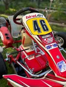 Kart Birel Easykart 60cc - 3