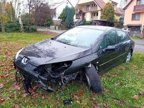 Peugeot 407 na zahradní dily - 3