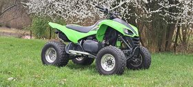 Kawasaki kfx 700 v- force - 3