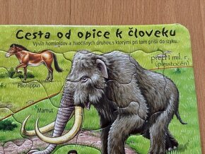 Puzzle: Cesta od opice k človeku - 3