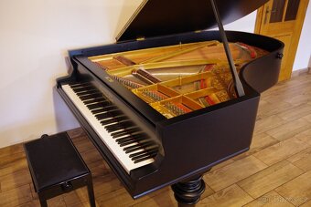 Grotrian - Steinweg, délka 2m, po GO, rok 1895, angl. mech. - 3