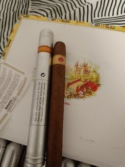 Prodám cohiba esplendidos - 3