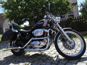 Harley Davidson Nerezové Laděné Výfuky Thundering Eagle Nové - 3