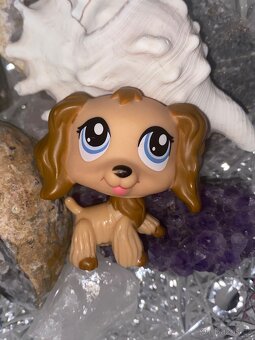 Lps littlest pet shop main 5 - 3