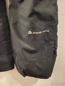 Alpine pro - 3