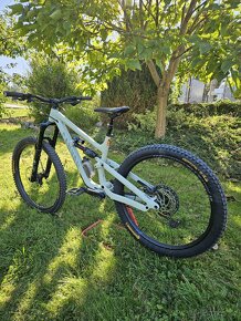 CANYON TORQUE MULLET  AL7 - 3