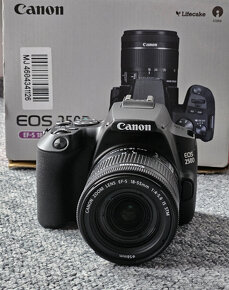 Canon EOS 250D + EF-S 18-55mm f/4-5.6 IS-STM - 3