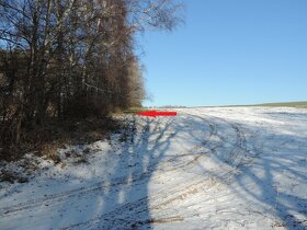 Pozemky 115/1, 138 a 549/3 v k.ú. Hamr na Jezeře - 3