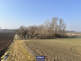 Pronájem rybník, 6 501 m2 - Bystročice, ev.č. OKO-P2287 - 3