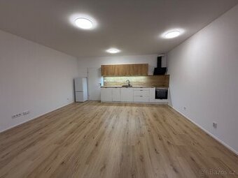 Pronájem  bytu 1+kk 47 m²  Železná, Plzeň - Jižní Předměstí - 3