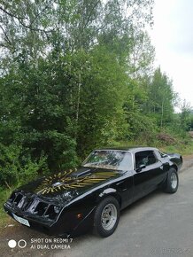 PONTIAC FIREBIRD 6.6l 1979 - 3