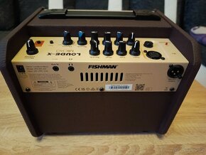 Akustické kombo FISHMAN Loudbox MICRO - 3