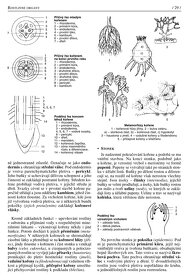 Biologie pro gymnázia – doložka MŠMT v PDF - 3