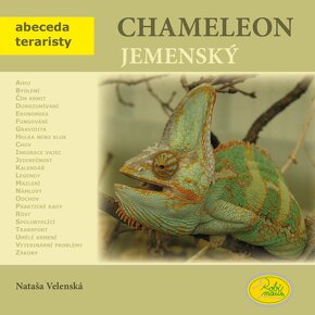 chameleon jemenský - 3