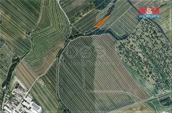 Prodej lesa, 1773 m², Němčany - 3