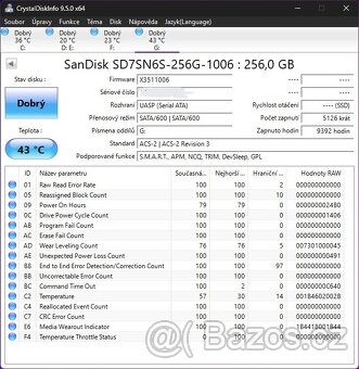 SANDISK X300 SSD M.2 256GB SATA - 3