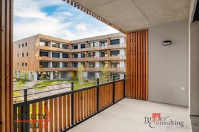 Pronájem, byty/1+kk, 36 m2, Kartónová 2844/10, Východní Před - 3